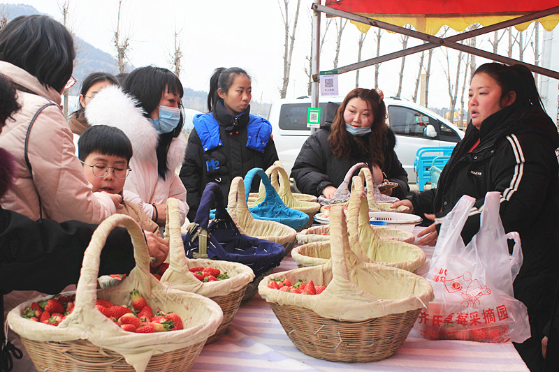 ��ݮ�h��c�´� | ���f�(zh��n)��ɽ�ڲ�ݮ��ժ��Ȥ���������w�e����ζ