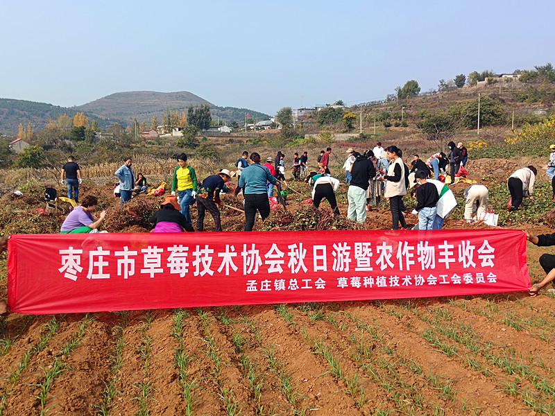 ���Ѕ^(q��)��ݮ�Nֲ���g(sh��)�f(xi��)��(hu��)�_(k��i)չ��Ȥζ�ڼt�� �����l(xi��ng)�����d�����(d��ng)