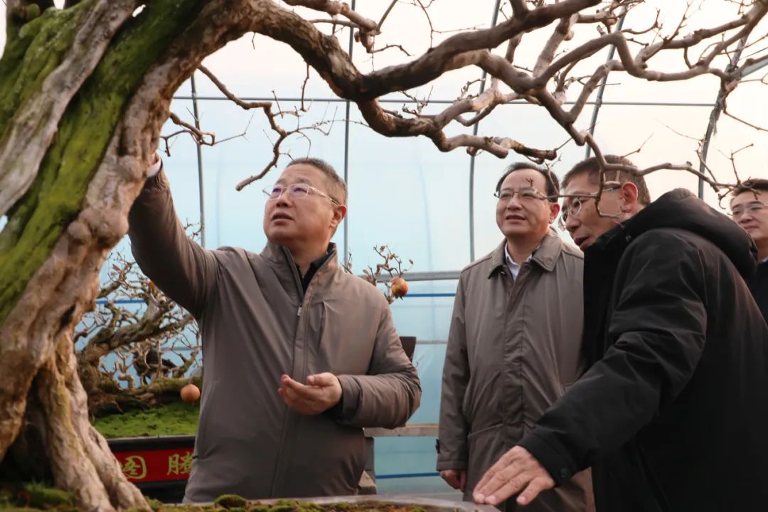 ���f��ί����ӛ������ί��ӛ�����ށ�F�ǅ^(q��)�{(di��o)��ʯ��a(ch��n)�I(y��)�l(f��)չ����