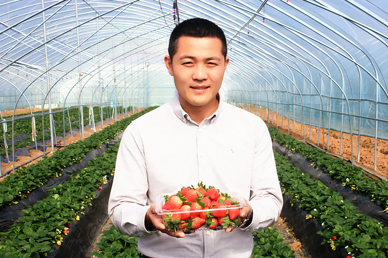 ��Ҋ ��ݮ���� ֻ����� ���� �_(t��i)���f�^(q��)�����(zh��n)������ݮ�@��ݮ���r����